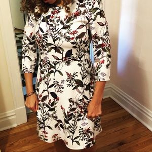 Beautiful Banana Republic Dress, Size Small